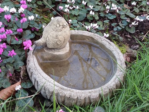 Stone garden small robin bird - stone,