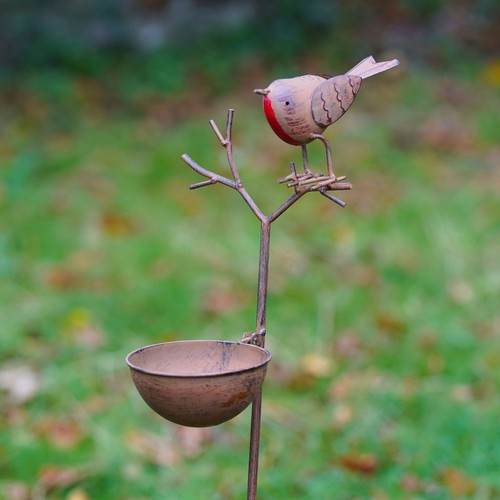 Robin twig bird - bird, bath