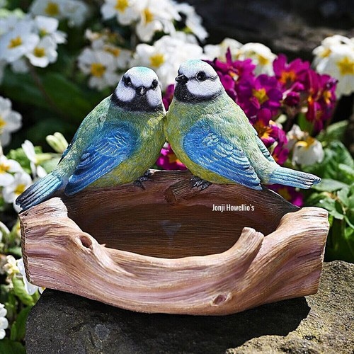 Blue tit bird bath - tit,