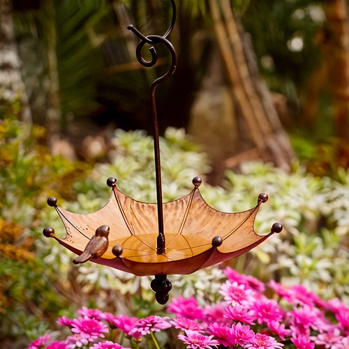 Hanging umbrella bird feeder - umbrella,