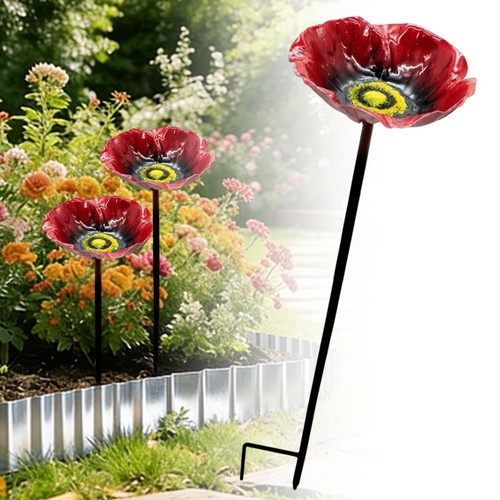 Cast iron poppy - poppy, garden