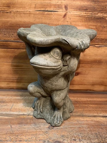 Stone garden frog - garden, toad