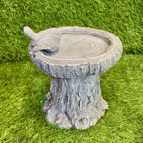 Concrete bird bath outdoor - bird,