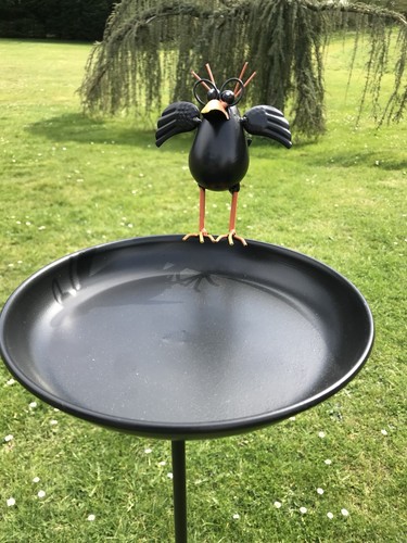 Crow bird bath - bird, garden