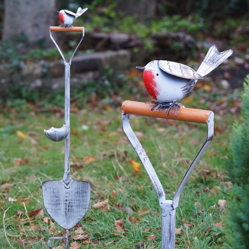 Robin shovel bird - bird, feeder