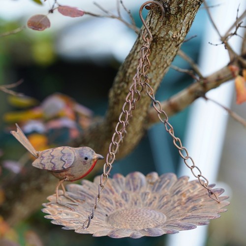 Hanging robin bird feeder - robin,