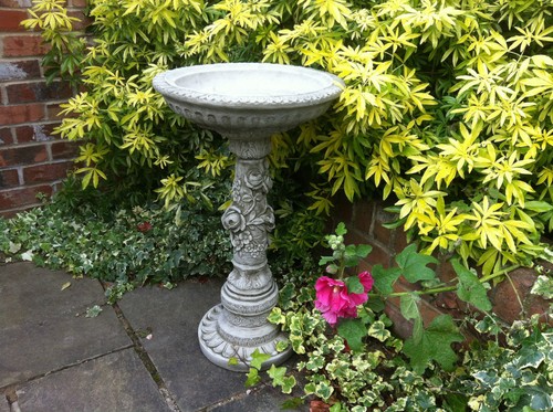 New rose bird bath - new, bath,garden