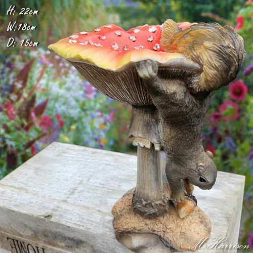 Squirrel bird bath feeder - bird,