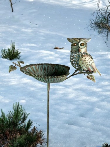 Verdigris owl bird - verdigris,