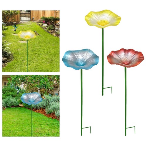 Bird bath outdoor - bird, feeder