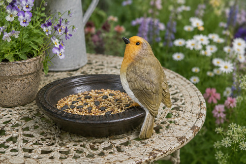 Robin bird feeder - bird,