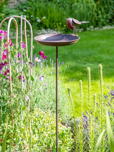 Robin bird bath - robin,