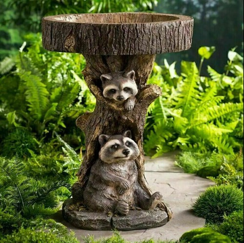 Bird bath feeder - bird, &