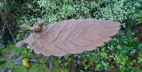 Core ten rusty leaf - core-ten, design
