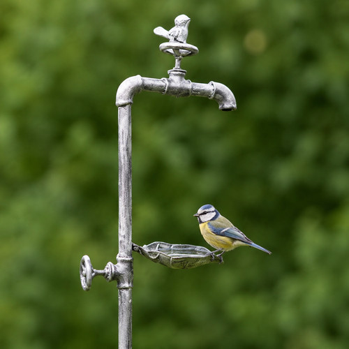 Metal bird bath feeder - bird,
