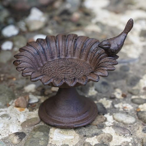 Cast iron sunflower bird - iron, bath