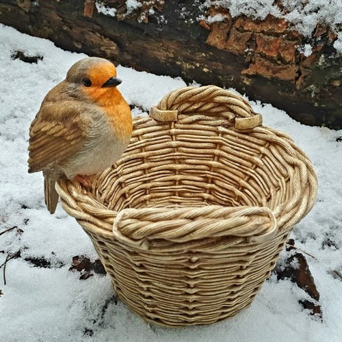Robin basket bird feeder - bird,