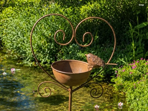 Brown heart bird - bird, bath