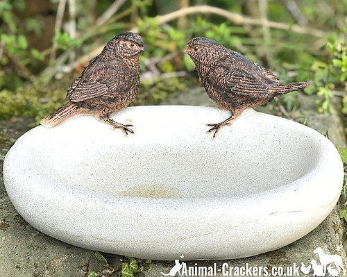 Bird bath feeder bowl - bowl, stone