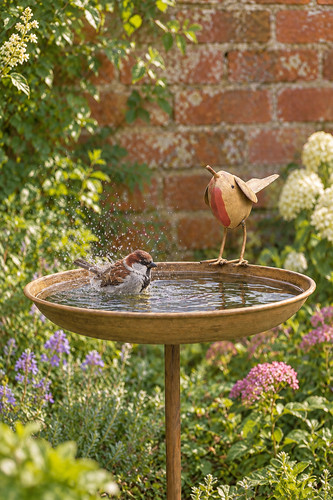 Robin bird bath garden stake - robin,