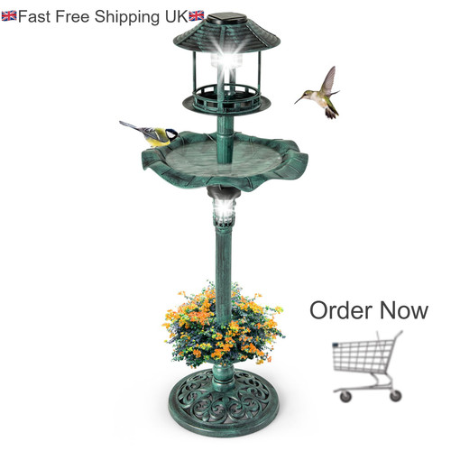 Bird bath feeder - bath, with