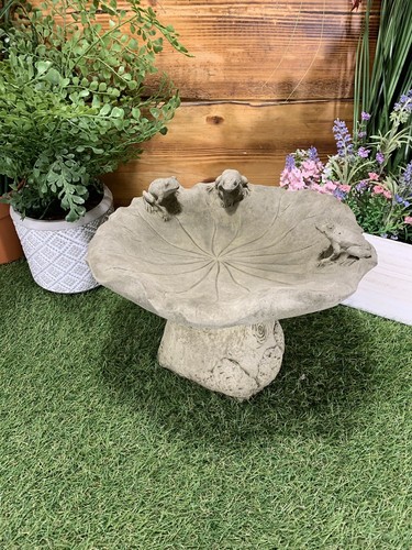 Stone garden frog toad - garden,