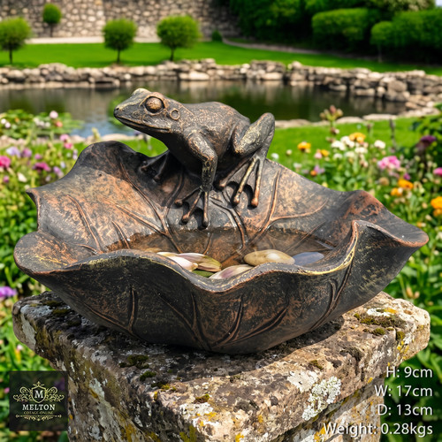 Frog lily pad bird feeder - on,