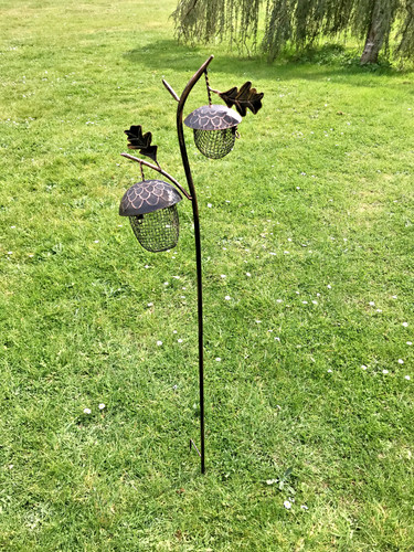 Acorn bird feeder garden - bird,