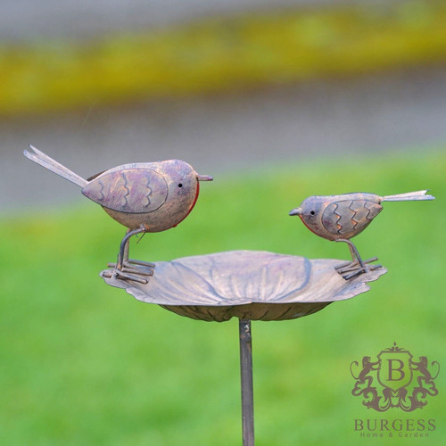 Robin flower bird feeder - flower,